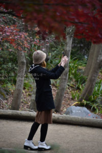 ［6］スマホを向けた先の紅葉！