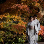 ［6］２０１６年を振り返る