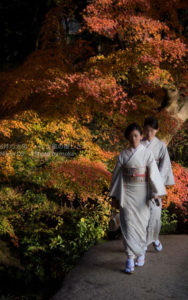 ［6］２０１６年を振り返る