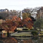 ［6］紅葉と日本庭園と笑顔