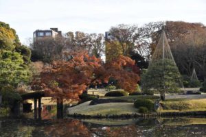 ［6］紅葉と日本庭園と笑顔