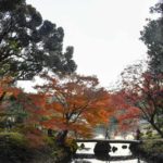 ［6］六義園の都心とは思えない見事な紅葉