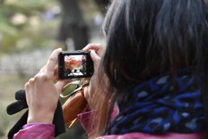 ［6］コンデジの液晶に写った紅葉