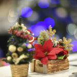 ［6］三次元的ハイファイレンズの第2弾「ＡＦ−Ｓ ＮＩＫＫＯＲ　１０５ｍｍ」