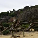 ［6］雪はなくても冬景色