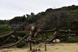 ［6］雪はなくても冬景色