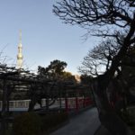 ［6］スカイツリーを眺めながらお参りできる神社