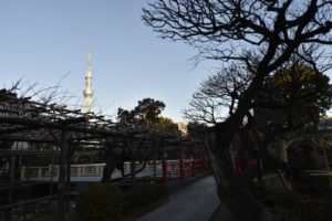 ［6］スカイツリーを眺めながらお参りできる神社