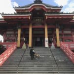 ［6］銚子市の飯沼観音の圓福寺で初詣