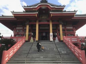 ［6］銚子市の飯沼観音の圓福寺で初詣
