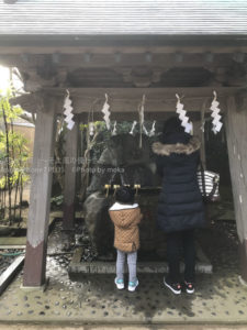 ［6］２０１７年もわんぱくで！