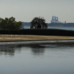 ［6］安定の葛西臨海公園の風景