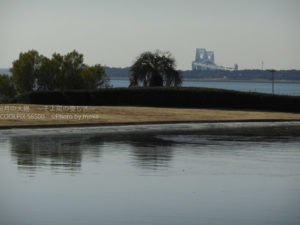 ［6］安定の葛西臨海公園の風景