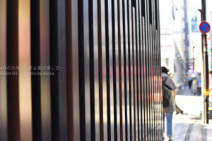 ［6］新宿スナップ撮影の楽しさ ♪