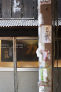 ［6］ニコンカレッジの実習の成果！？