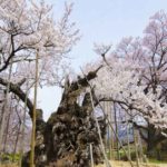 [6]Week 38 : Get Low