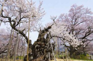 [6]Week 38 : Get Low