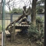 ［6］パンダに会いに上野動物園へ！