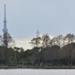 [6]春一番が吹いて、春まであと一歩!