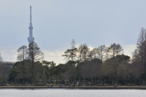 [6]春一番が吹いて、春まであと一歩!