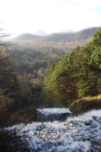 ［６］Week 41 : Get High