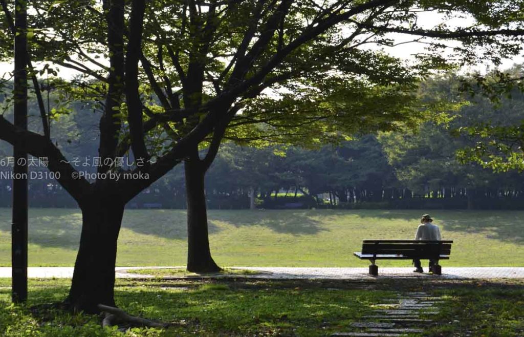 ［６］Week 40 : Sitting in a Chair