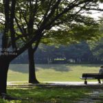 ［６］Week 40 : Sitting in a Chair