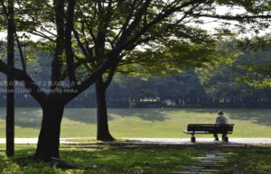 ［６］Week 40 : Sitting in a Chair