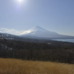[6]春のパノラマ台で富士山鑑賞