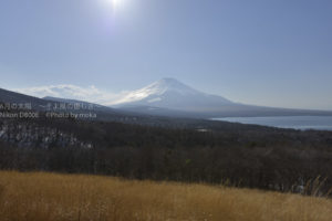 [6]春のパノラマ台で富士山鑑賞