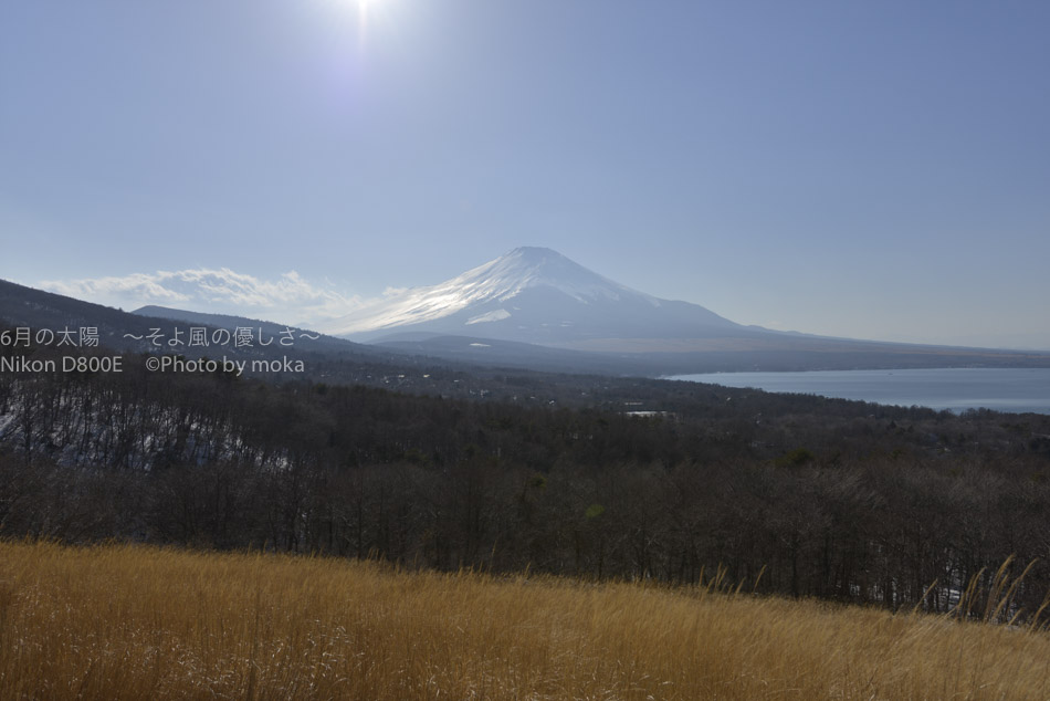 [6]春のパノラマ台で富士山鑑賞