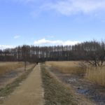 [6]春へ続く一本道ならいいのに。