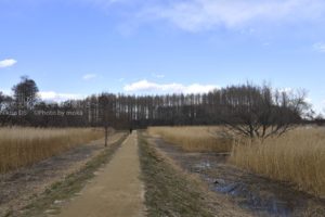 [6]春へ続く一本道ならいいのに。