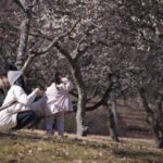 ［６］秩父ミューズパークの梅林で、家族三人仲睦まじく！