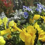 ［６］春の日差しが作る鮮やかな彩り