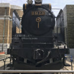 ［６］蒸気機関車Ｄ５１（デゴイチ）の雄姿