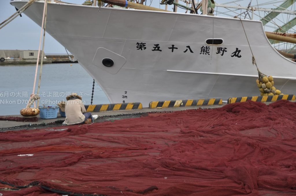 ［６］Week 43 : The Elderly