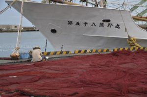 ［６］Week 43 : The Elderly