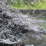 ［６］千鳥ヶ淵の桜を見ながらボートデート！