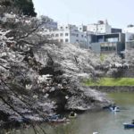 ［６］満開の千鳥ヶ淵の桜をボートから鑑賞！！