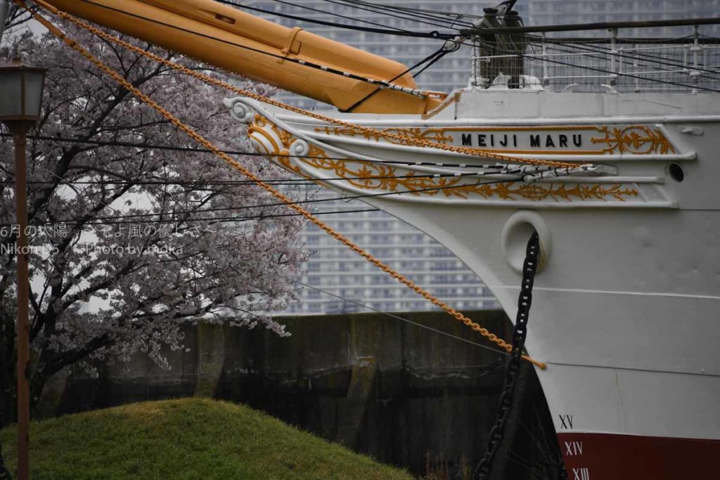 ［６］東京海洋大学のキャンパスにある重要文化財、明治丸