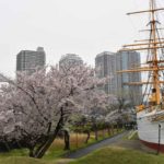 ［６］大都会のビルとマンションの間を明治丸が進む！