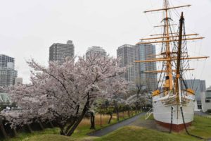 ［６］大都会のビルとマンションの間を明治丸が進む！