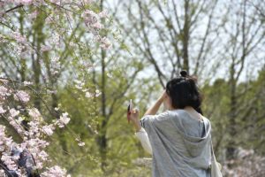 ［６］春に咲く花を目の前に気分も最高！！