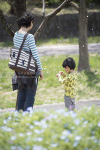 ［６］子供写真はこっそりと遠くからに限る！？