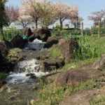 ［６］都市農業公園で野菜収穫体験！！