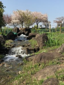 ［６］都市農業公園で野菜収穫体験！！