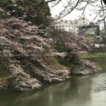 ［６］冷たい雨に濡れた咲き始めの桜