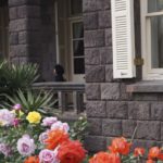 ［６］石造りの洋館と薔薇の花