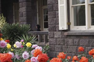 ［６］石造りの洋館と薔薇の花